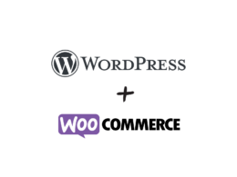 wordpress ecommerce guia completo